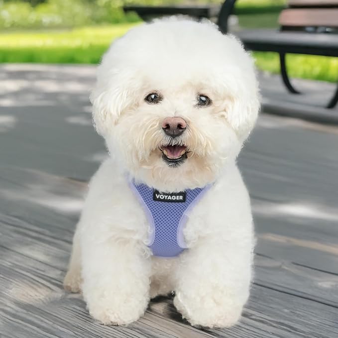 Best Pet Supplies - All Weather Mesh/Plush, Reflective, No Pull Harness for Small, Medium Dogs, Cats - Secure with Hook & Loop Fastener, Buckle, Double D-Rings - Lavender, XS