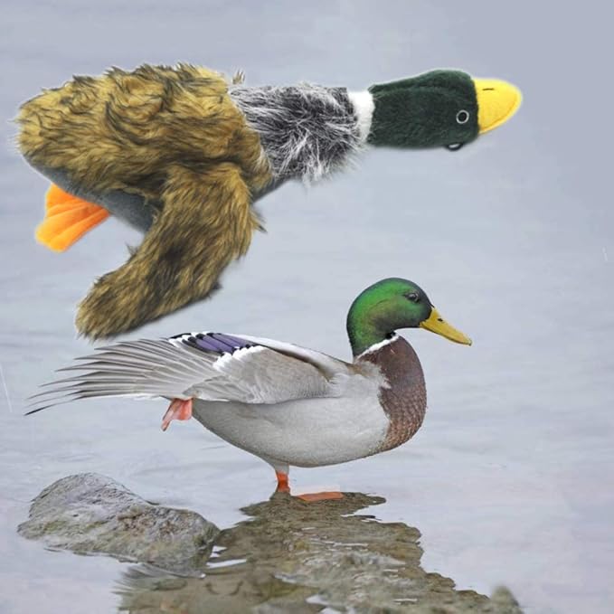 JKW Pet Dog Toys, Mallard Duck Plush & Stuffed Toys, Squeaky Puppy Toys, 8''