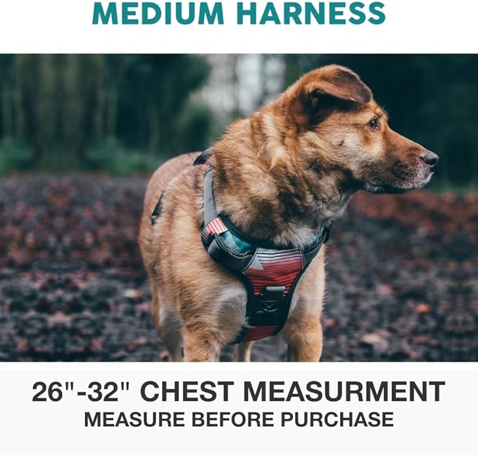 Embark Adventure Dog Harness, Reflective Trim No Pull Dog Harness Medium Sized Dogs - Military Grade Nylon, Front Clip with Gel Lined Handle.