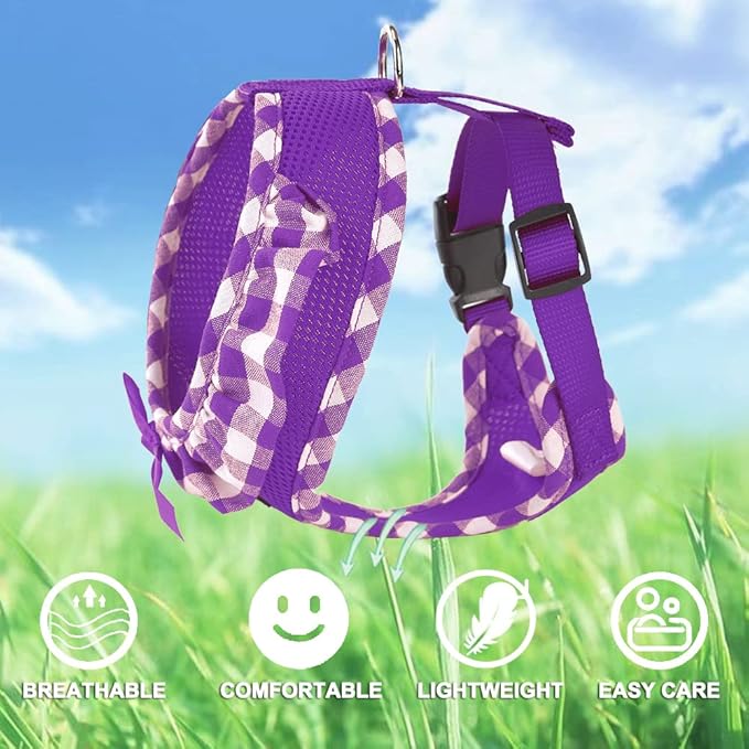 SuperBuddy Upgraded Soft Mesh Dog Harness, Super Breathable Lightweight Pet Harnesses for Puppy Dogs Outdoor Walking, Purple Dog Harness and Dog Leash Set Packing -Large