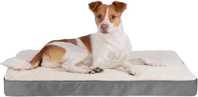 Best Pet Supplies Dog House Bed Crate Mat Tent Indoor Round Soft Plush for Small, Medium, and Large Breeds - Gray, 41 x 29 x 4