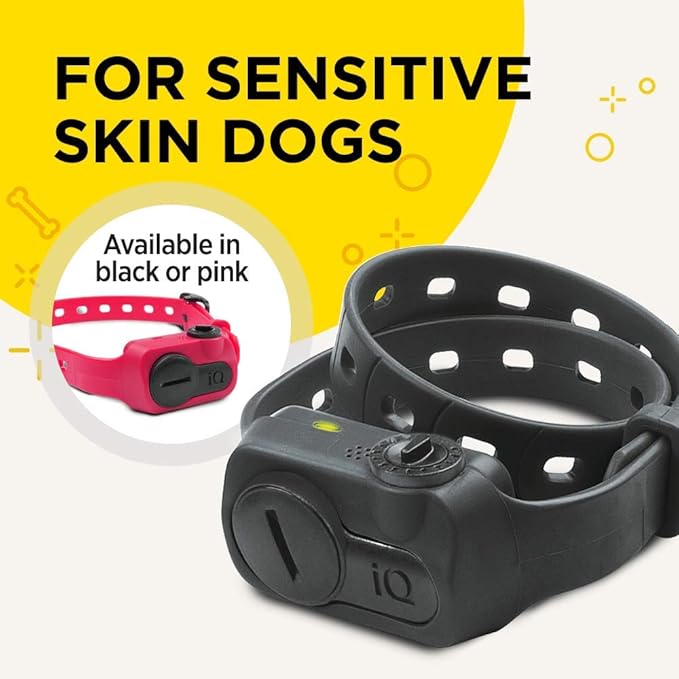Dogtra iQ NO BARK Replaceable Battery Conductive Plastic Contact Points Compact Pink Collar