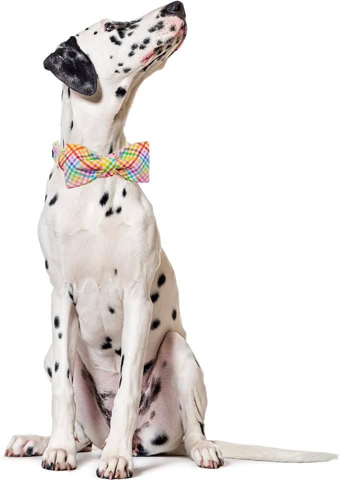 Lionet Paws Easter Dog Collar with Bowtie - Colorful Cute Cotton Bowtie Dog Cat Collar with Metal Buckle for Puppy Girl Boy, XS, Neck 8-12in