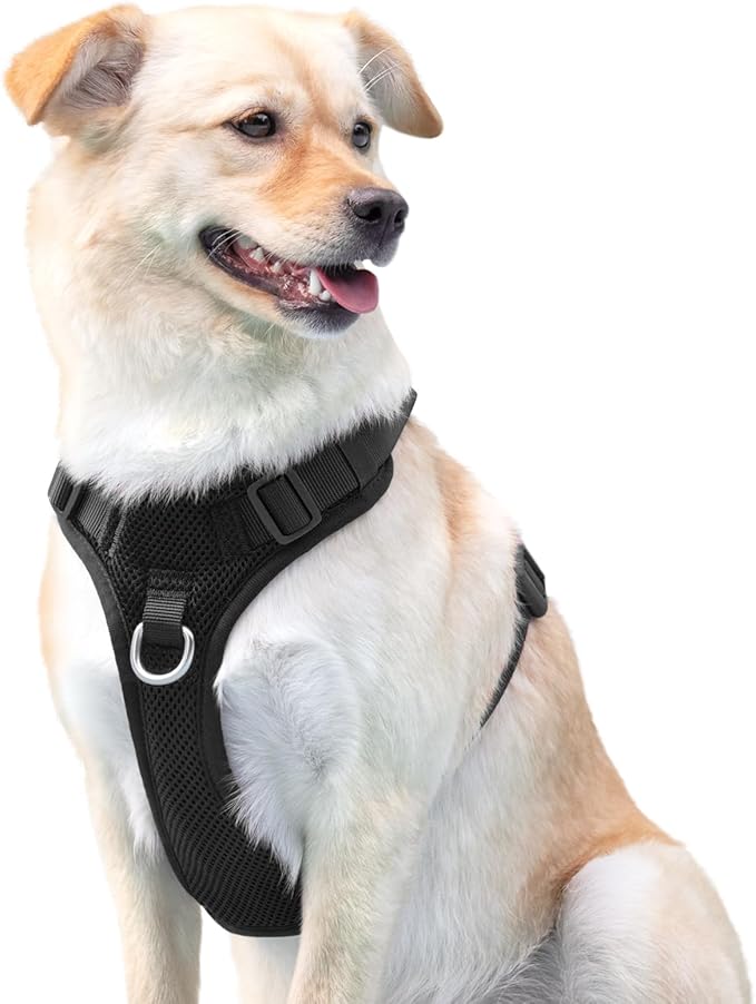 No Pull Dog Harness for Small Medium Large Dogs - Adjustable 2 Layer Mesh Dog Vest with Dual Clip, Escape Proof, Quick Release, Lightweight Breathable Mesh for Walking Hiking (Black,L)