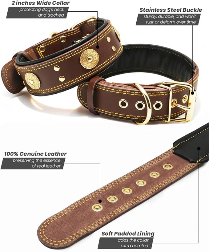 Leather Dog Collar, 2 inches Wide Heavy Duty Genuine Leather Collars, Handmade, Soft, and Luxury, Eye-catching Best Choice for Large and Medium Breed Dogs Brown-Gold, 15-19 ins