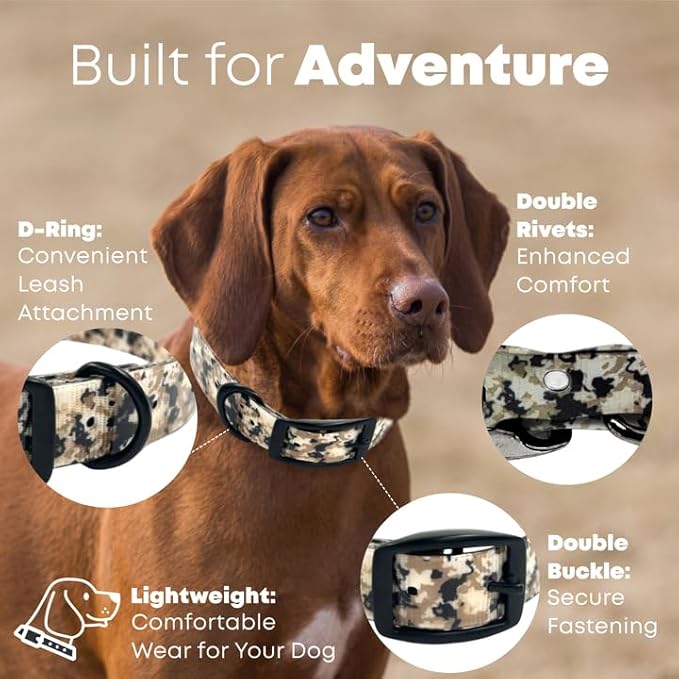 Regal Dog Products Small Camo Hunting Dog Collar with Custom Engraved Name Plate and Heavy Duty Black Hardware Center Ring| Waterproof Personalized Puppy Collars | Other Sizes for Medium & Large Dogs