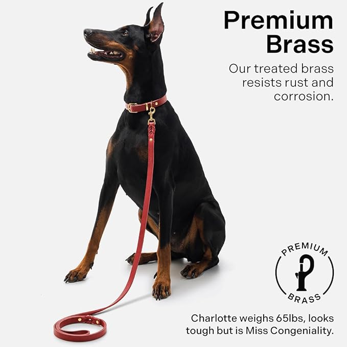 Scout Supply Classic Leather Dog Leash | Strong Heavy Duty Thick Full Grain Leather | Waterproof & Rust-Proof Brass Hardware (Red, L: 4.5 ft x 2/3 in)