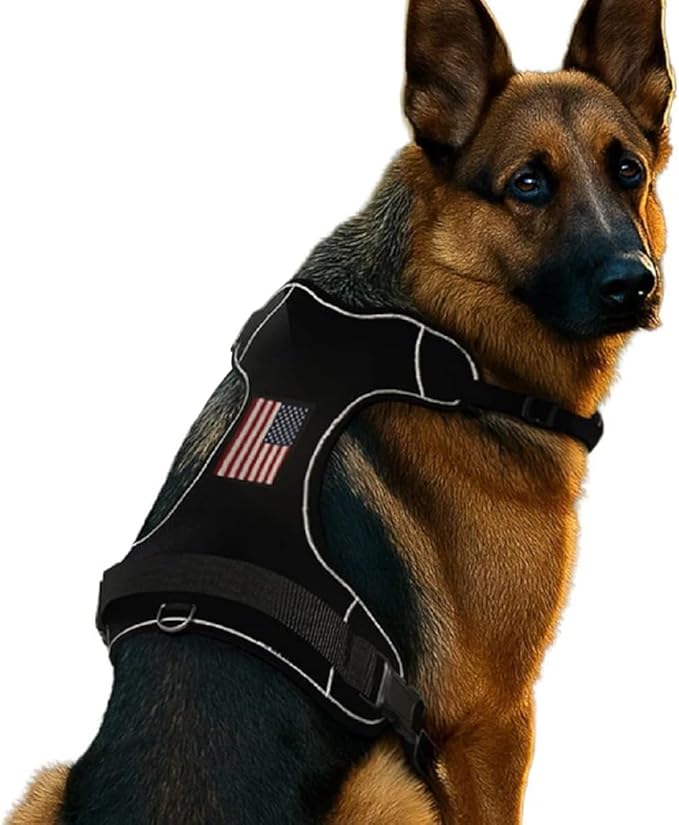 PawPatch Track Dog Harness, Large – No Pull Adjustable Fit Pet Vest, Breathable Soft Padded with 2 Leash Clips, Reflective, Easy On/Off Design with Control Handle for Walking, Training, Hiking