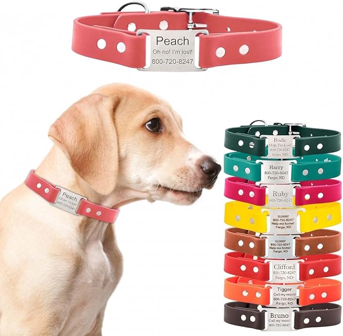 dogIDs Personalized Dog Collar – ScruffTag Custom Waterproof Biothane Dog Collar with Laser-Engraved Name, Durable & Odor-Resistant – USA Made | Coral, 1 in x 22 in (Fits Neck Sizes 20-24 in)