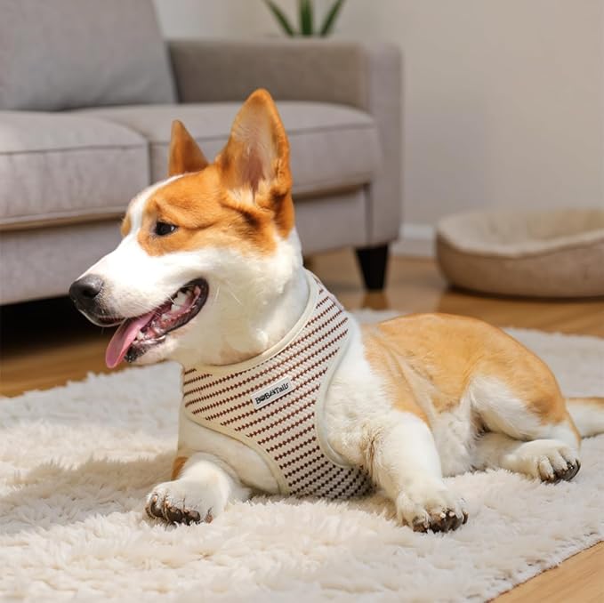 No Pull Dog Vest Harness for Small&Medium Dogs, Side Clip Adjustable Pet Vest, Soft Breathable, Fashion Dog Harnesses for Walking, Running, Shopping (Beige, XXS)