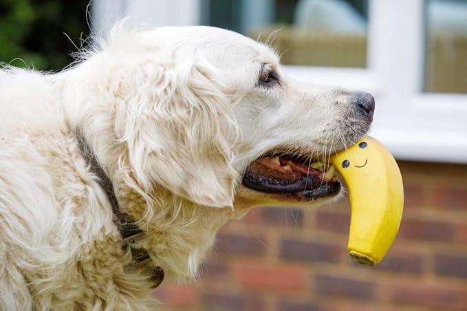 Petface Latex Banana Soft Chew Dog Toy, Large