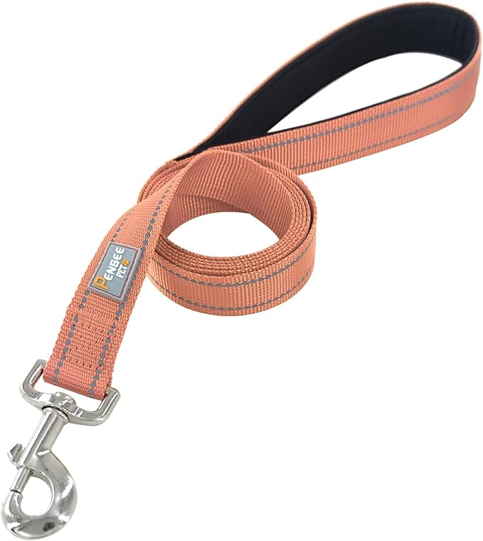 Reflective Dog Leash 6 FT Padded Handle Nylon Dogs Leashes for Medium Dogs Coral