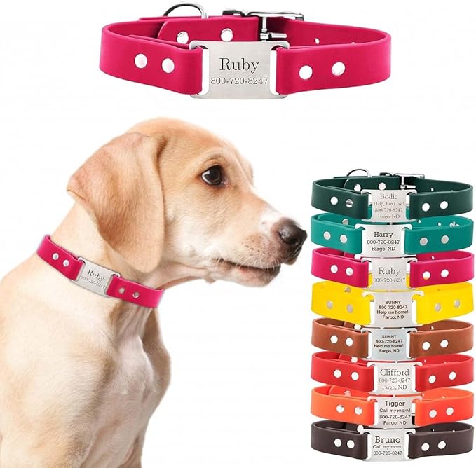 dogIDs Personalized Dog Collar – ScruffTag Custom Waterproof Biothane Dog Collar with Laser-Engraved Name, Durable & Odor-Resistant – USA Made | Magenta, 1 in x 16 in (Fits Neck Sizes 14-18 in)
