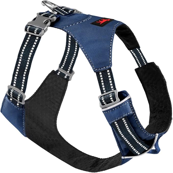Tuff Pupper All-Day Wear Dog Harness | for Walking, Trail Running, Hiking | Front & Back Leash Clips | Reflective Trim | Easy On/Off Buckles | Lightweight Breathable | No Pull Design (Small, Blue)