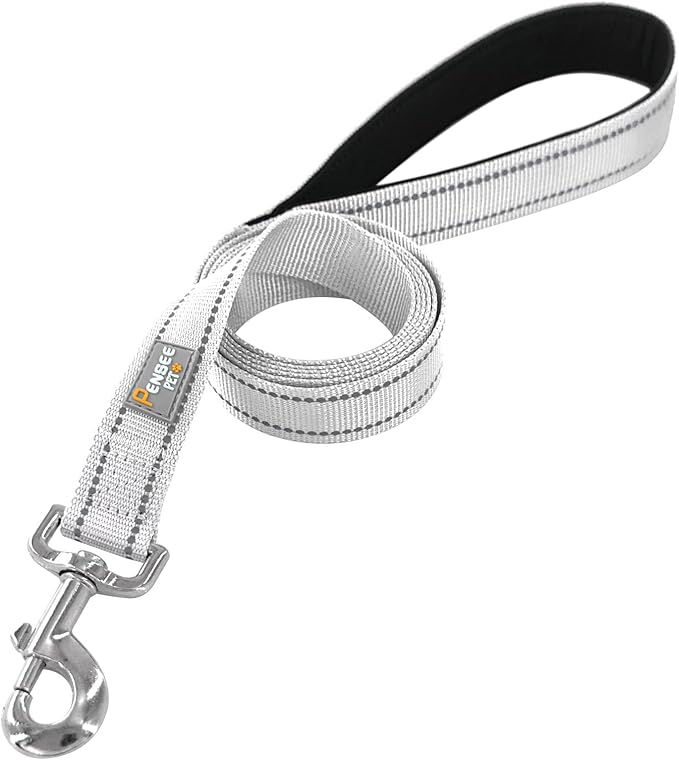Dog Leash 6 FT Padded Handle Nylon Reflective Dogs Leashes for Large Dogs Silver
