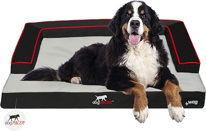 Indoor Outdoor Pet Recovery Dog Bed | Multi Element Extreme Joint Support with Cooling Gel | 100% Water Proof and Machine Washable Cover | Large, Onyx Black