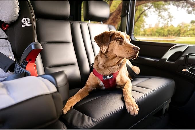 Clickit Sport Plus - Crash-Tested and Safety Certified Car Seat Belt Harness for Dogs (Large, Jet Black)