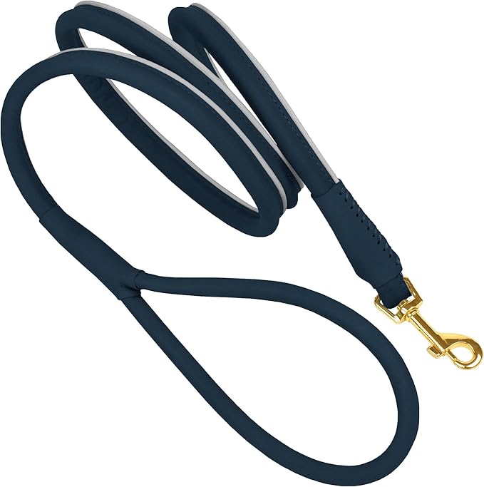 OOPSDOGGY Reflective Rolled Leather Dog Leash 6ft - Soft Training Lead for Small Medium Large Dogs Puppy - Heavy Duty Rope Puppies Leashes for Outdoor Walking Running (Blue, Medium/Large)