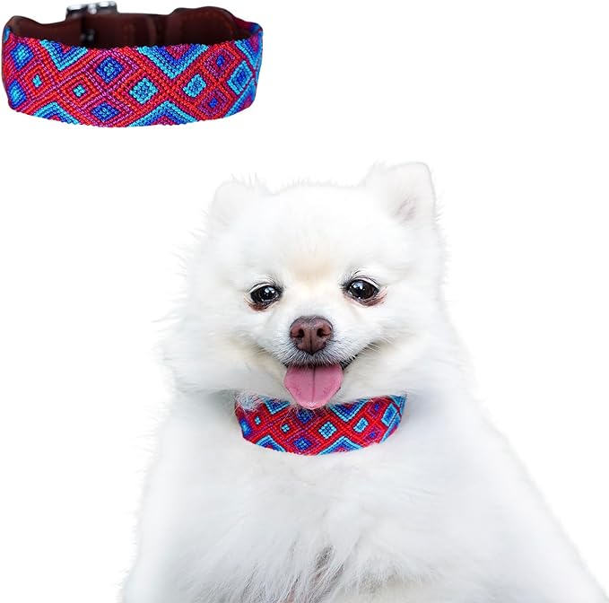 Eternia Premium Leather Dog Collar - Adjustable Handcrafted Collar for Small to Large Dogs (Blue/Red, S)