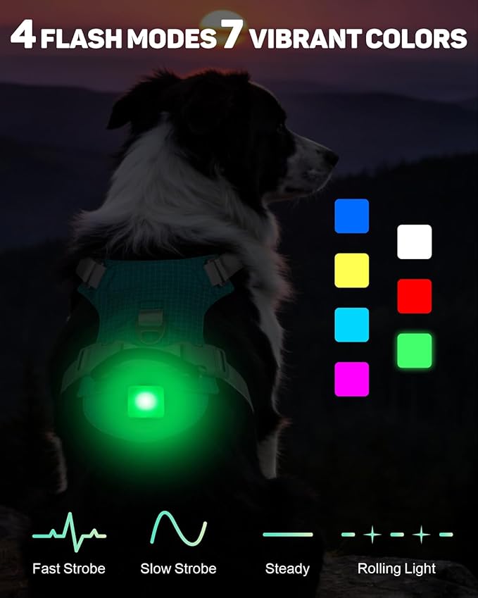 TagME No Pull Dog Harness with 2 Leash Clips,Lightweight & Visible for All-Day Walking,No Choke Pet Vest Includes AirTag Holder for Extra Large Dogs,Teal