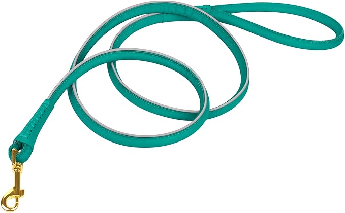 OOPSDOGGY Reflective Rolled Leather Dog Leash 6ft - Soft Training Lead for Small Medium Large Dogs Puppy - Heavy Duty Rope Puppies Leashes for Outdoor Walking Running (Teal, Small)