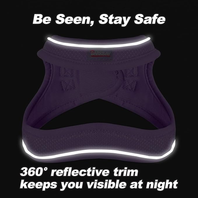 Dog Harness and Leash Set,Step in Small Sized Dog Harness,Soft Mesh,No-Chock,Reflective Adjustable,Secure with Hook & Loop Fastener,Puppy Vest for Small,Medium Dogs(Violet Purple,XS)