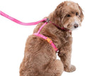Dog Harness and Leash Combo Set, Magnetic Connection, Ergonomic Design (Flamingo Pink, Large)