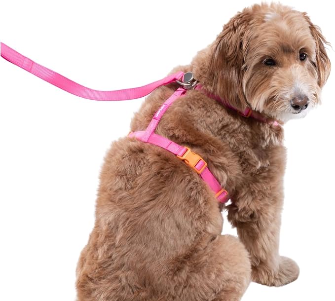 Dog Harness and Leash Combo Set, Magnetic Connection, Ergonomic Design (Flamingo Pink, Medium)
