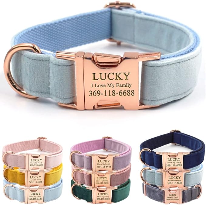 PETDURO Custom Dog Collar Personalized with Name Engraved Quick Release Rose Gold Metal Buckle for Large Medium Small Girl Dogs - Dog Leash and Bow Tie Available - Soft Comfy Velvet (Sky Blue, M)