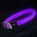 PetIsay Dog Light up Collar for Night Walking - High Visibility LED Dog Collar - Rechargeable - Waterproof - Reflective - Adjustable Lighted Glow Collars(Purple,Large)