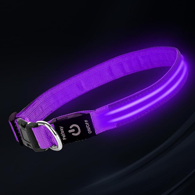 PetIsay Dog Light up Collar for Night Walking - High Visibility LED Dog Collar - Rechargeable - Waterproof - Reflective - Adjustable Lighted Glow Collars(Purple,XLarge)