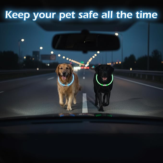 Rechargeable Reflective Pet Gear LED Dog Collar Light Up, Flashing Glowing Illuminated Collar for Night Walking, Neon Pet Collar with Light for Small/Medium/Large Dogs (Blue, 1-Pack)