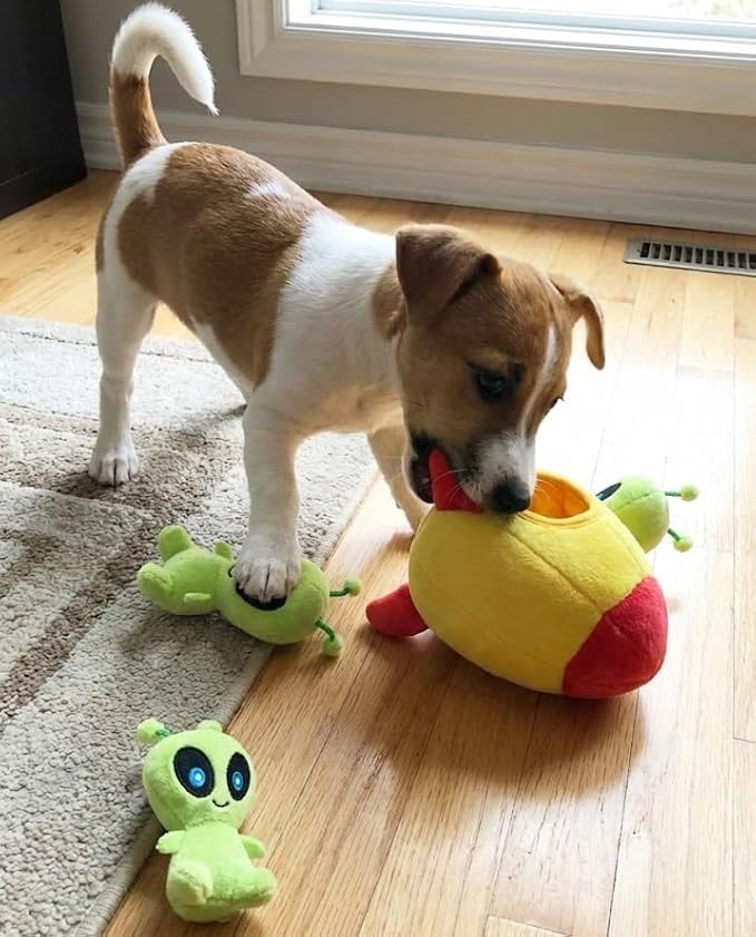 MODERN WAVE - Interactive Squeaky Plush Hide and Seek Squirrel Type Puzzle Toy for Dogs, Small Size (Spaceship and Aliens)