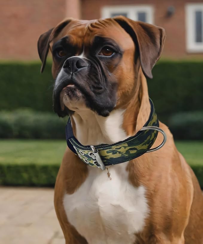 Dog Collar for Large Dogs - 2" Wide Tactical Collars with Handle for Extra Large Breed Dogs, Military Heavy Duty 1/3" Thick Nylon Pet Collar Camo Green M