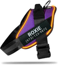 Personalized No Pull 360° LED Dog Harness with Custom Name Patches, USB Rechargeable, Adjustable, Reflective for Night Walks, Rainproof Module with 3 Modes Lasts up to 24h, Purple, XL