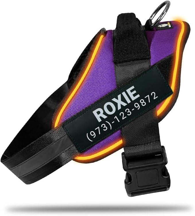 Personalized No Pull 360° LED Dog Harness with Custom Name Patches, USB Rechargeable, Adjustable, Reflective for Night Walks, Rainproof Module with 3 Modes Lasts up to 24h, Purple, M