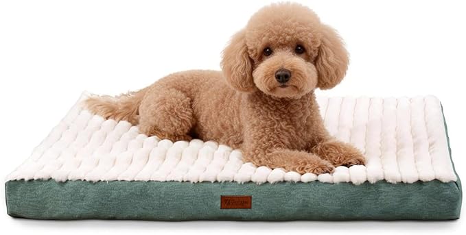 Orthopedic Dog Bed with Firm High-Density Egg Crate Foam Mattress,Machine Washable Cover & Non-Slip Bottom for Small Breeds & Toy Dogs (Green, 23" L x 17" W x 3" H)