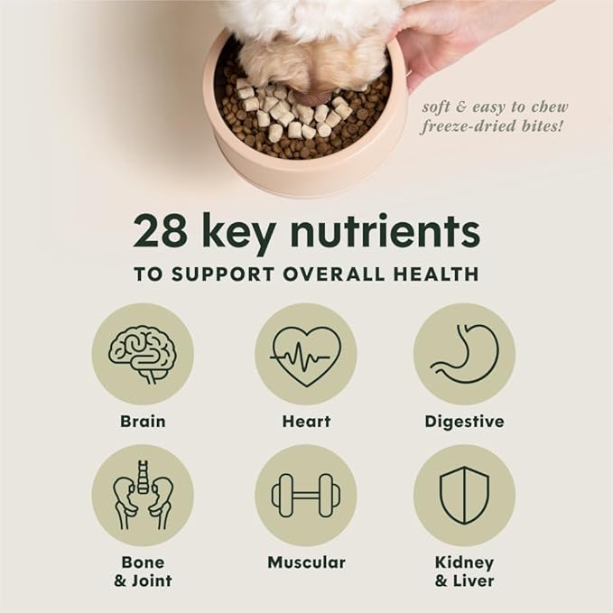 Instinct Raw Boost Mixers Multivitamin for Adult Dogs Freeze-Dried Food Topper, 12.5 oz. Bag