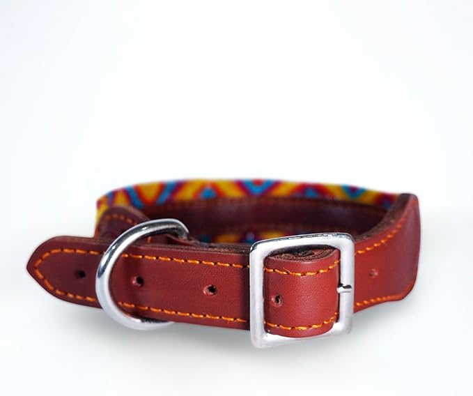 Eternia Premium Leather Dog Collar - Adjustable Handcrafted Collar for Small to Large Dogs (Yellow/Red, L)
