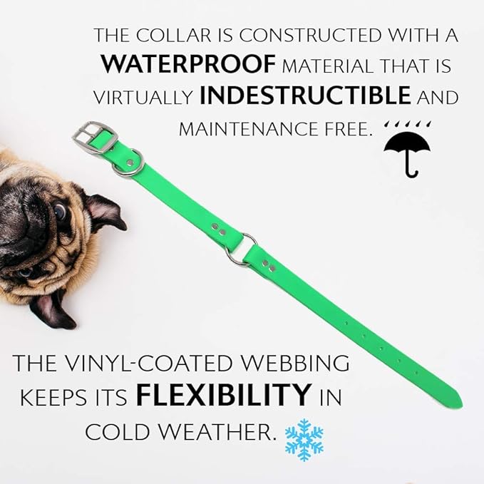 Regal Dog Products Medium Lime Green Waterproof Dog Collars with Custom Engraved Name Plate | Vinyl Coated Anti Easy to Clean Personalized Biothane Dog Collar - Other Sizes for Small & Large Dogs