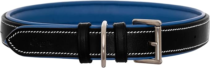 Exion Geniun Leather Dog Collar Designer Stitched Soft Leather Padded- Suitable for Small Medium Large X-Large Dogs for Walking Running- Black with Blue Padding
