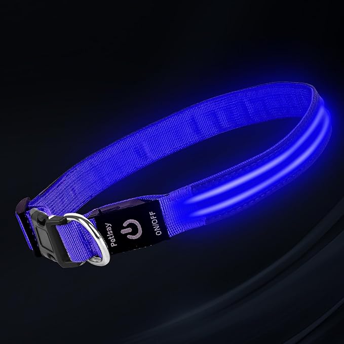 PetIsay Dog Light up Collar for Night Walking - High Visibility LED Dog Collar - Rechargeable - Waterproof - Reflective - Adjustable Lighted Glow Collars(Blue,Large)