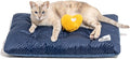FUNNY FUZZY 2 in 1 Dog Bed Crate Pad Mat, Washable Reversible Pet Floor Mats,Fluffy Kennel Pad for Small Large Sized Dog,Indoor Cats,Sleeping Mattress, 23.6" × 17.9", Midnight Blue