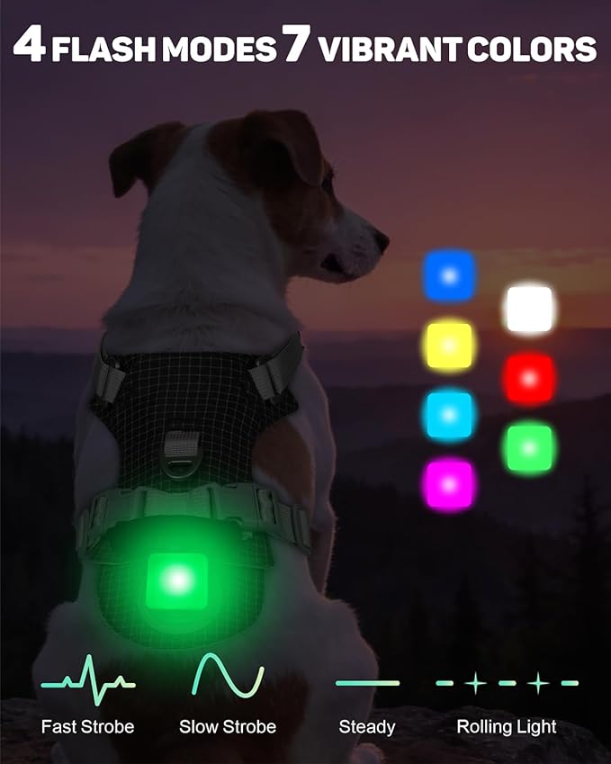 TagME No Pull Dog Harness with 2 Leash Clips,Lightweight & Visible for All-Day Walking, No Choke Pet Vest Includes AirTag Holder for Puppy,Black