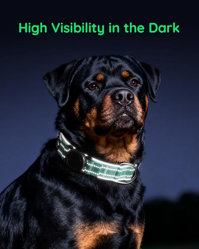 Upgrade Airtag Dog Collar,with IPX8 Waterproof AirTag Holder | Reflective Ultra-Durable | Soft Padded | Lock Buckle | Heavy Duty | Fit Small Medium Large Dogs（Teal，L(17"～23")）