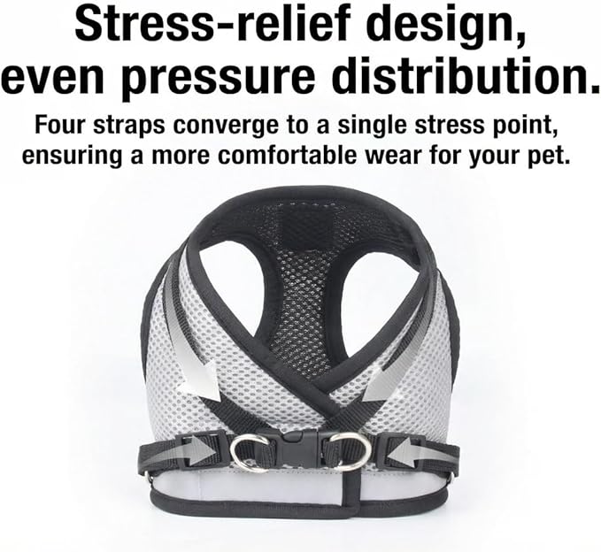 Dog Harness and Leash Set-No Pull No Choke Step-in Pet Harness for All Weather Lightweight Adjustable Cat Harness Breathable Soft Mesh Puppy Vest with Hook & Loop Fastener Buckles D-Rings-Gray-M