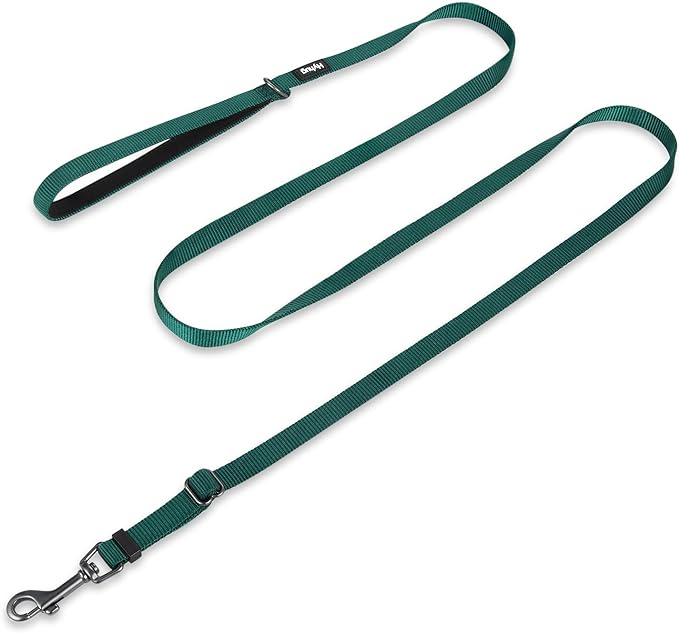 Hyhug Nylon Adjustable 4-6ft Dog Leash with Soft Neoprene Padded Handle, Durable Heavy Duty Leash with Easy-to-Use Bolt Snap, Ideal for Jogging Outdoor