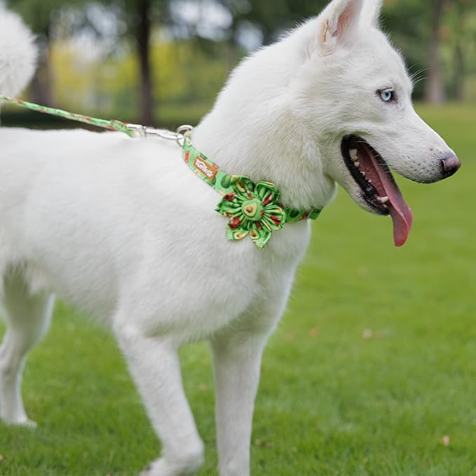 Tunkoo Dog Collar Avocado Floral Bow Tie Unique Style Super Soft Comfy Adjustable Cotton Collar with Premium Metal Buckle, for Puppy and Cat Small Medium Large Pet Supplies（Avocado，Flower, M）