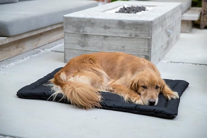K9 Ballistics Tough Ripstop Dog Crate Pad - Durable, Machine Washable Kennel & Travel Mat for Puppies and Medium Dogs, 35 x 22 fits 36” Wire Crate, Light Gray Velvet
