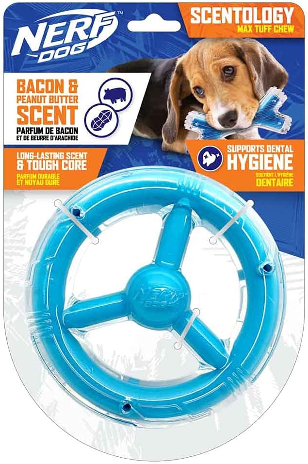 Nerf Dog 6.5in TPR/PP Scented Peanut Butter/Bacon SuperScent Orbit Ring Solid Core -Clear/Light Blue